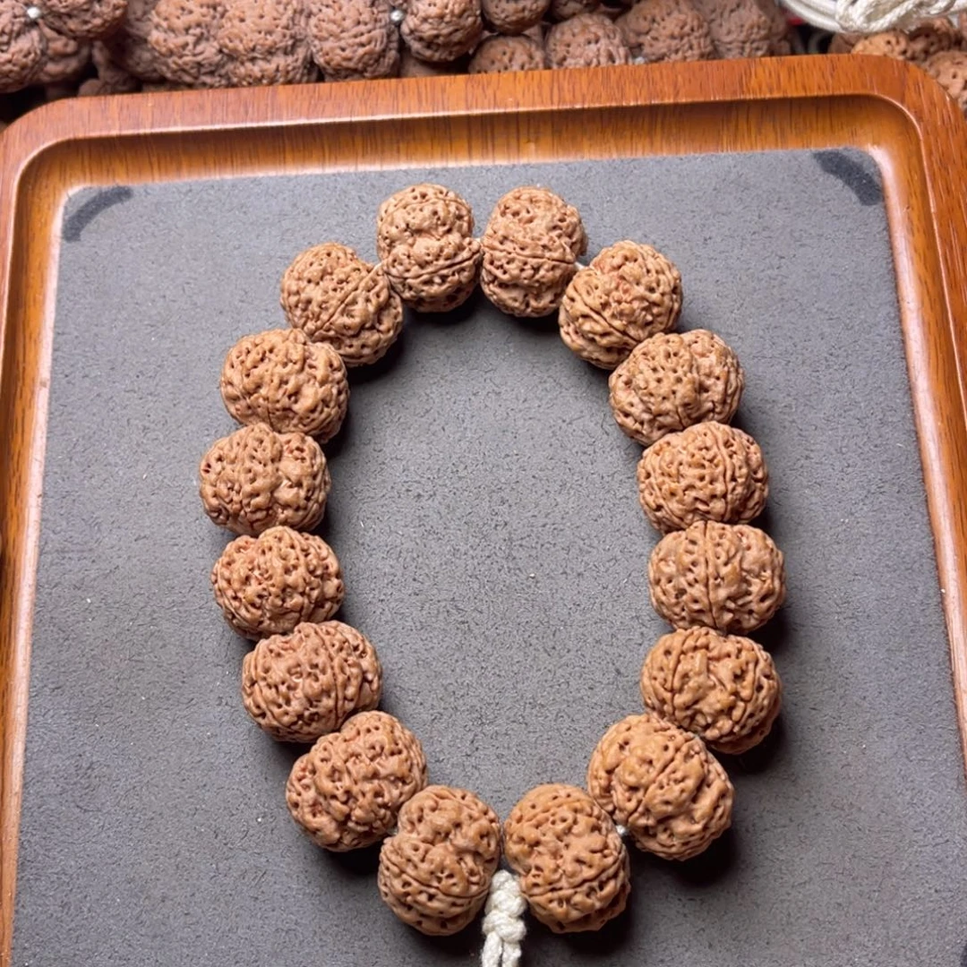 菩提籽类24号金刚菩提梅花双龙22