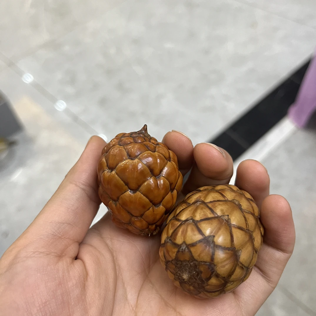 一物一拍……………….