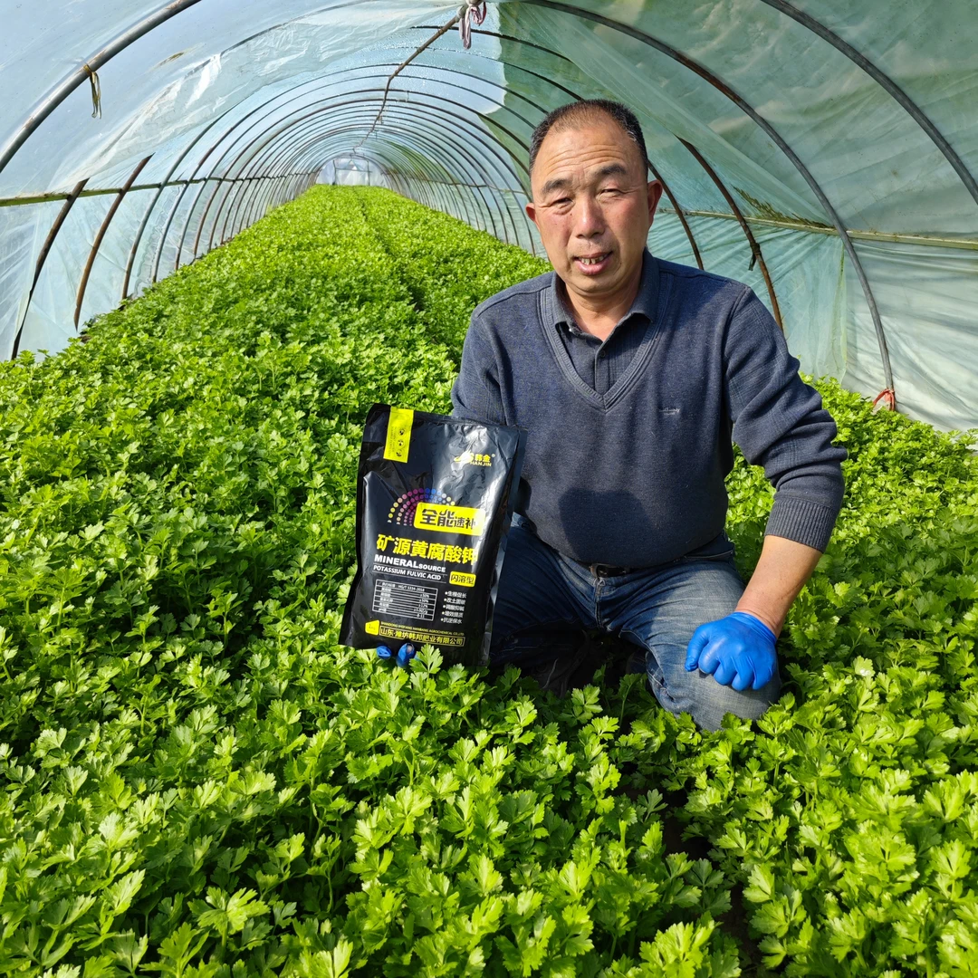 矿源黄腐酸钾腐殖酸生根调节土壤酸碱水溶肥正品蔬菜果树药材花卉