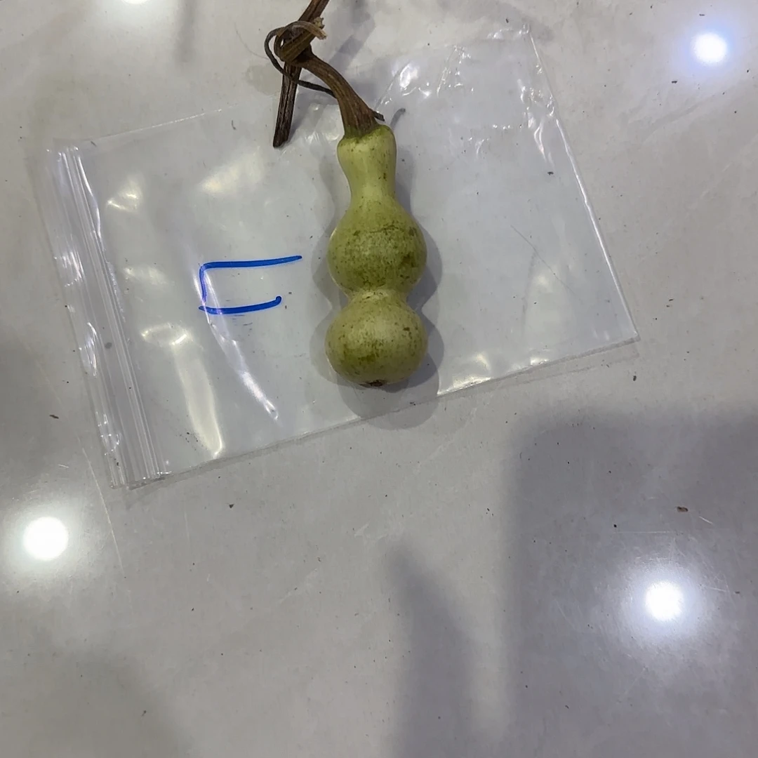 发***体青皮不包成青皮不包成