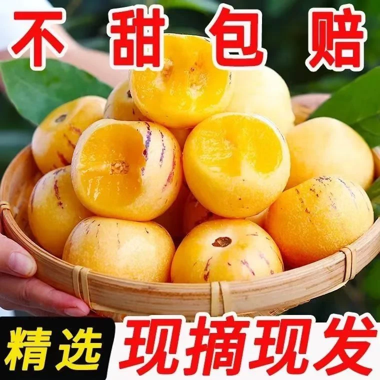 【树上熟】云南高原人参果黄心果新鲜圆果应季孕妇低糖清甜高端水果