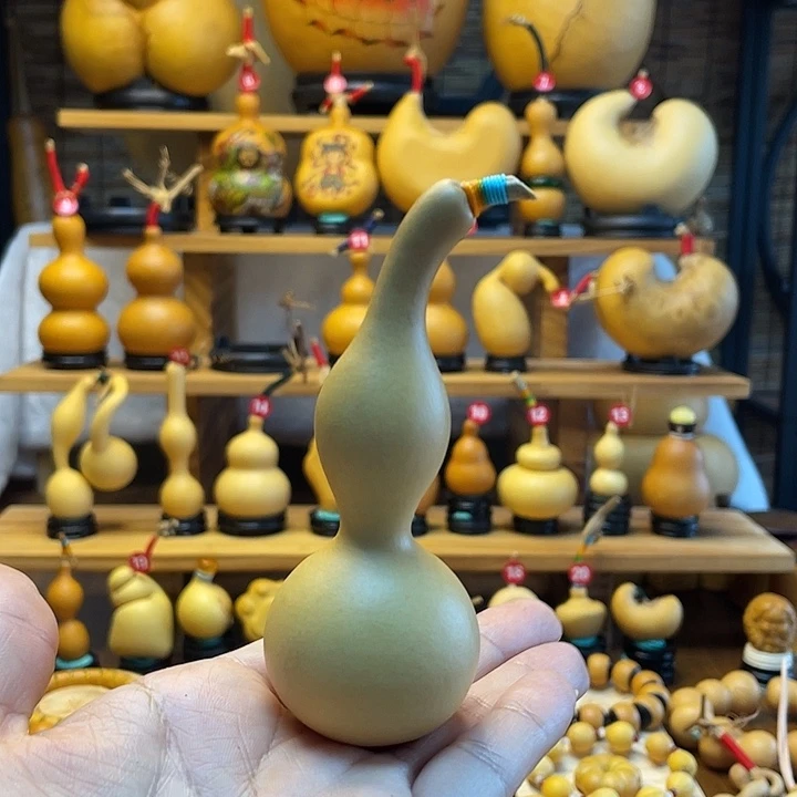 璐***嘉天然葫芦自然生长