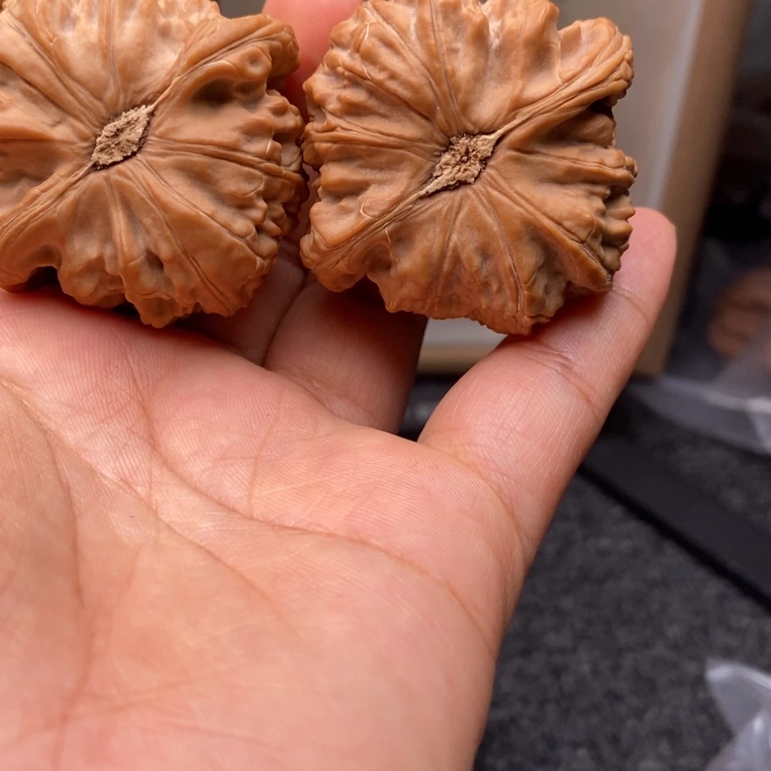 文玩核桃把件46白狮子