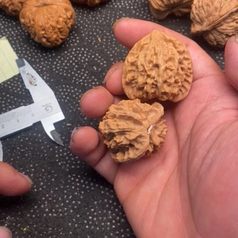 文玩核桃把件盘山1.1