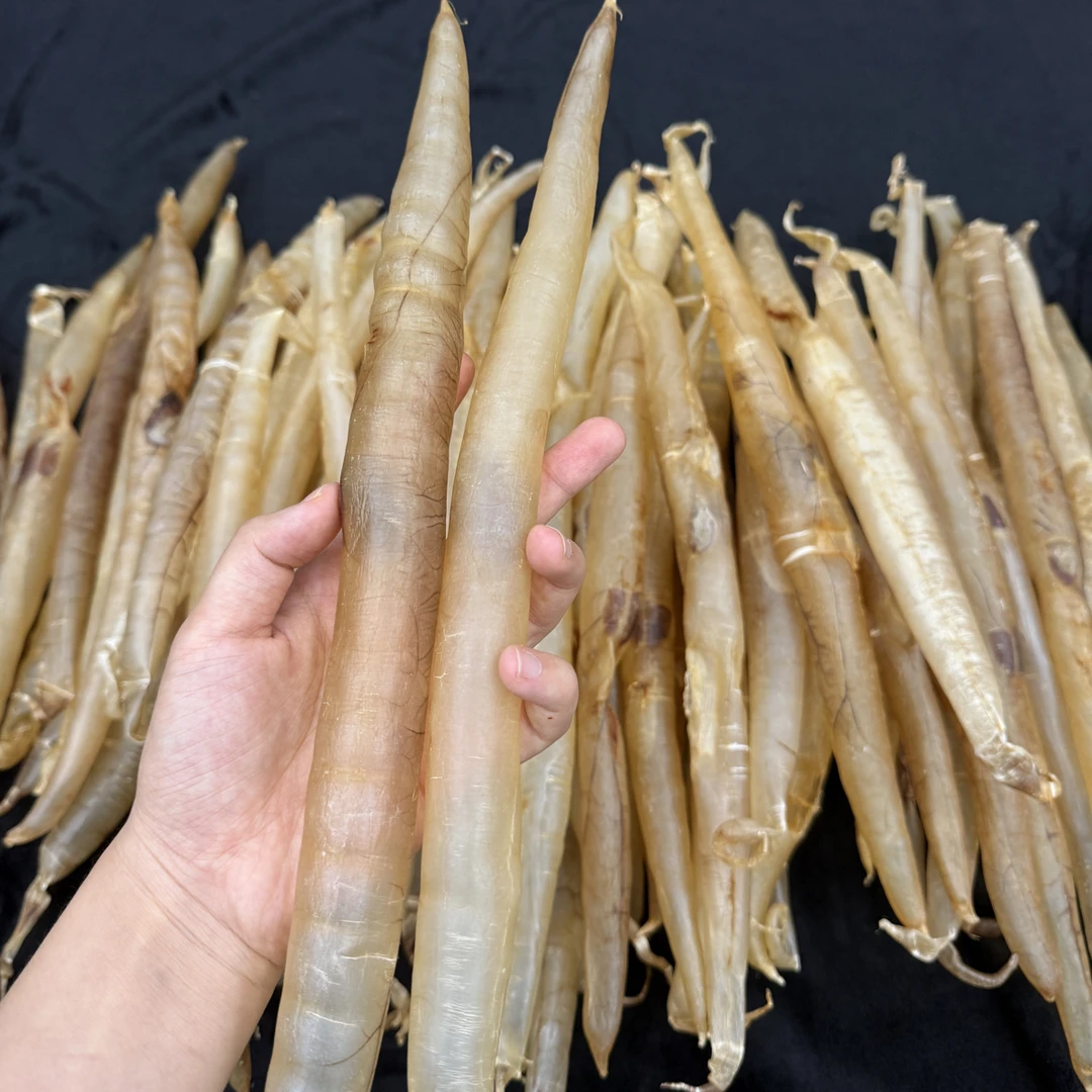 深海本港厚肉鳗鱼胶精选A货23-24