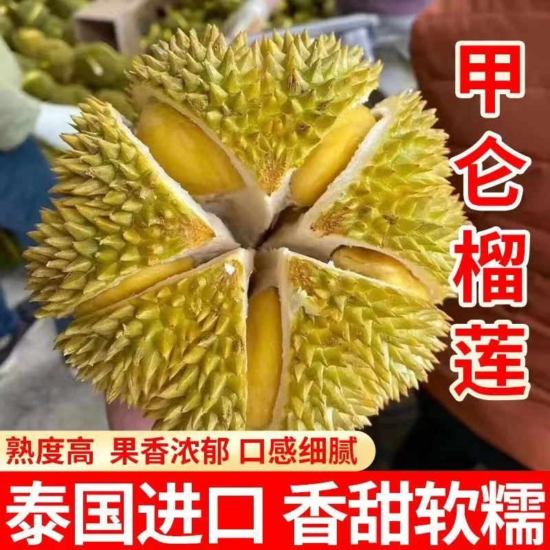 【云贵川一物一拍】泰国甲仑鲜榴莲新鲜进口水果3斤软糯香甜包4房一整个顺丰包邮（核大介意勿拍）甲仑泰国