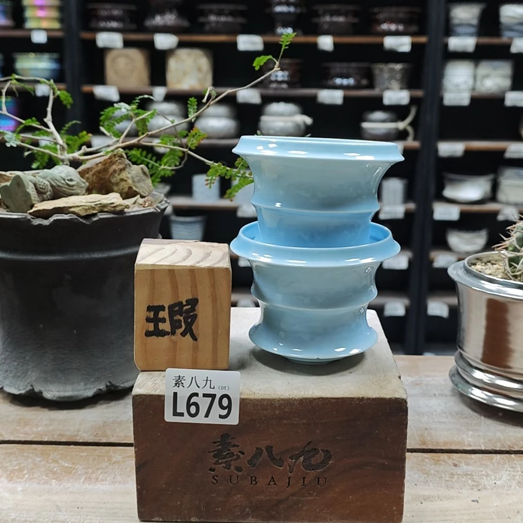 陶瓷素八九陶瓷内口两个