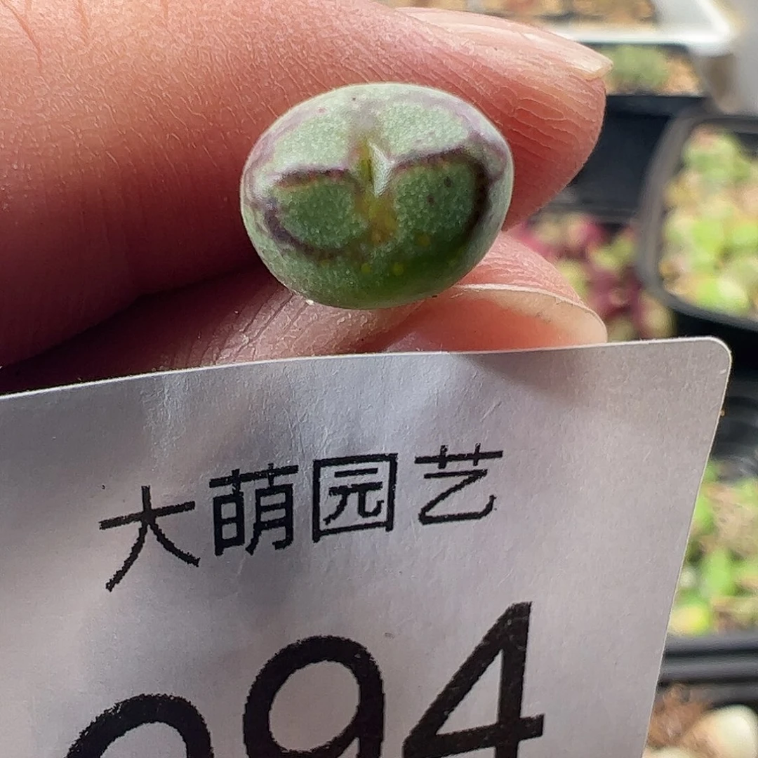 一物一拍。         994