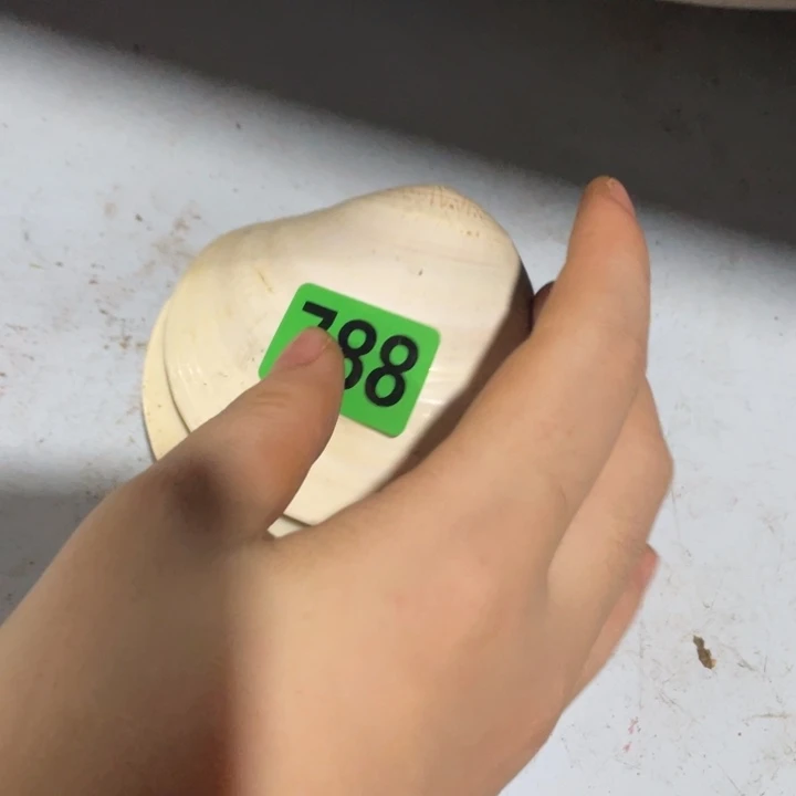 佚***名民俗文化研究中心