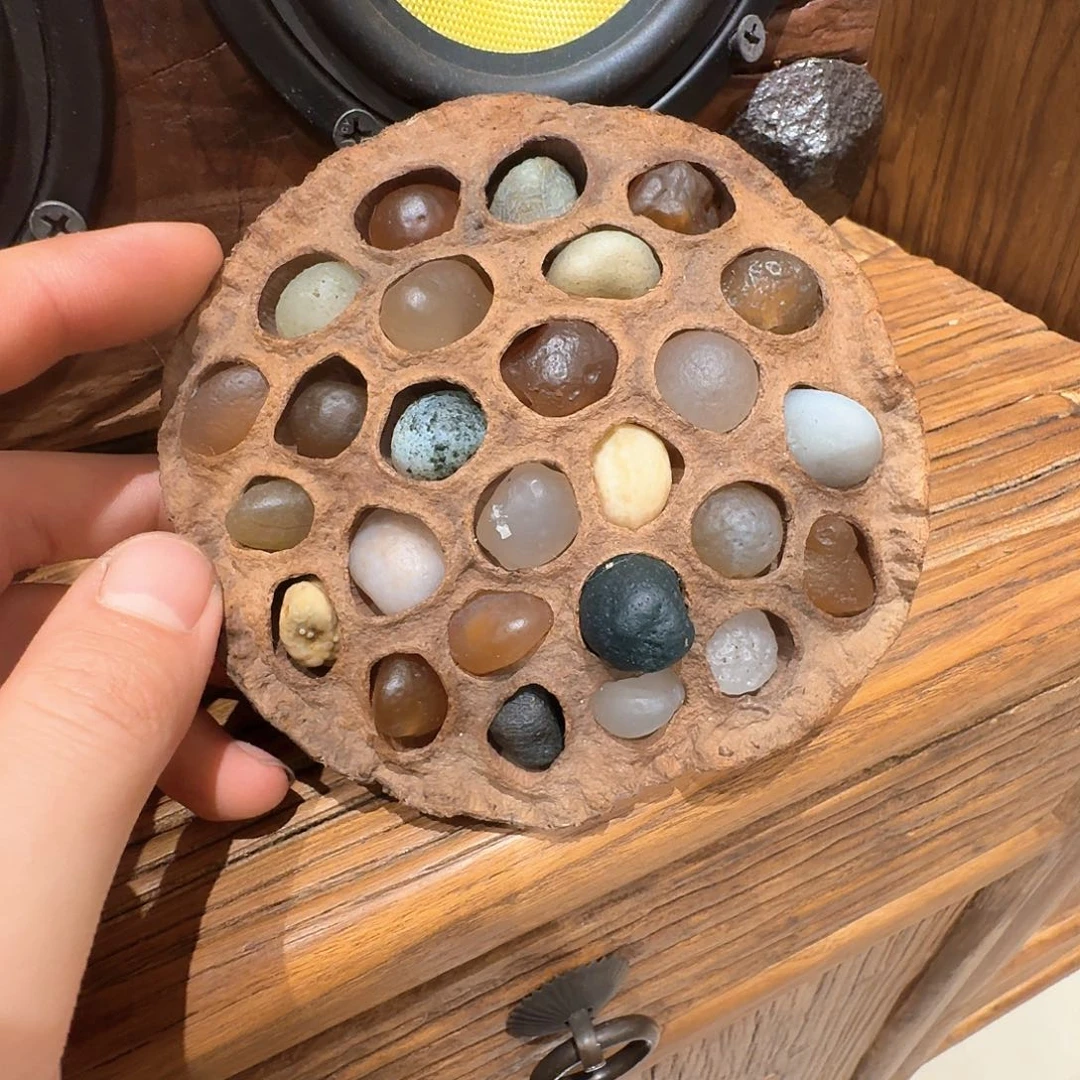 昆***鹏老了就不想了吗我的天