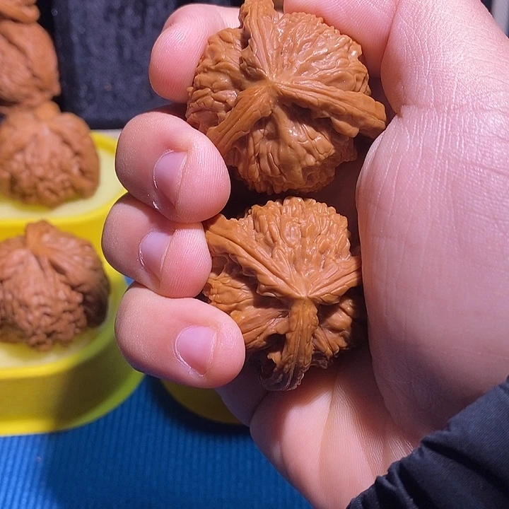 小***刘文玩核桃把件白狮子三棱1