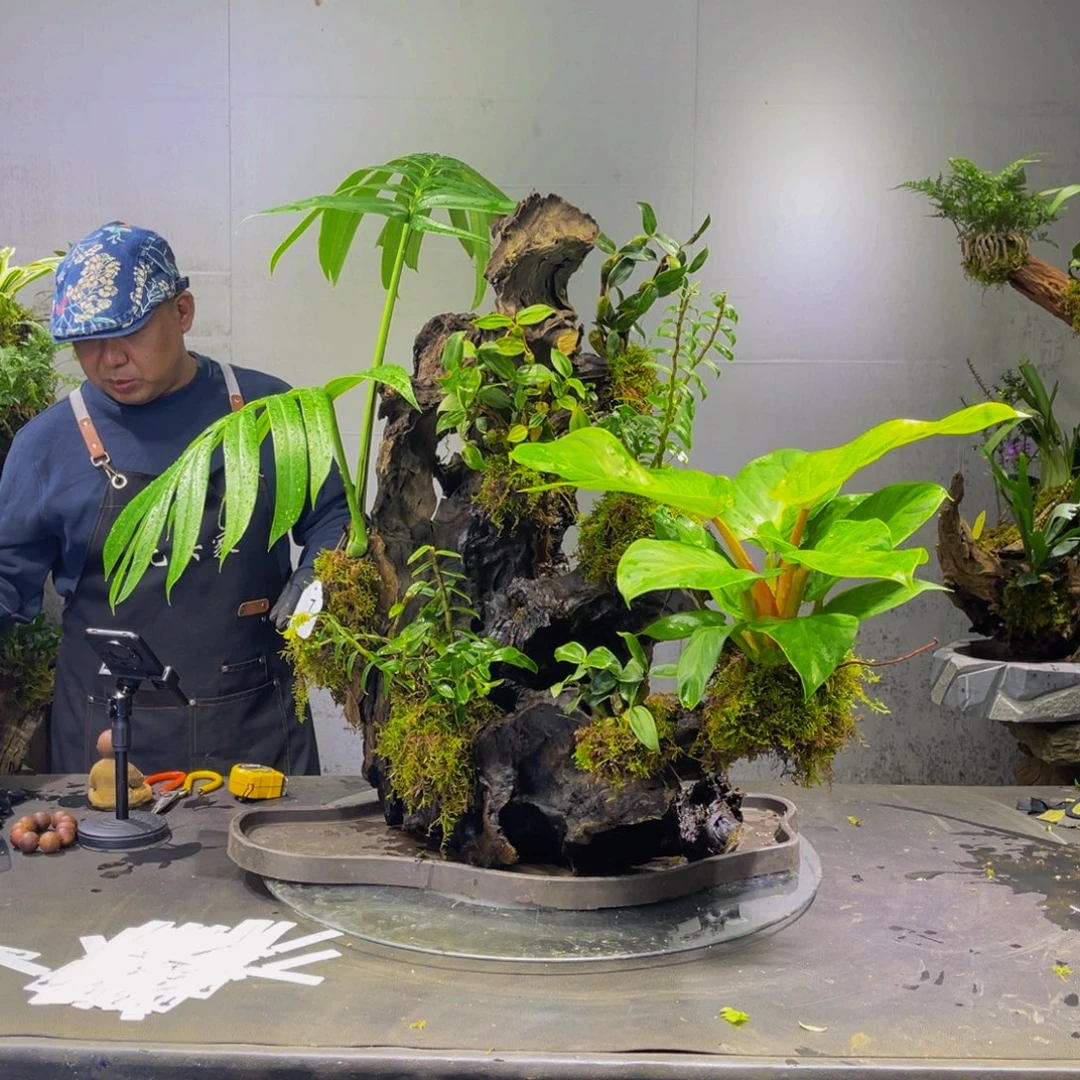 ****依完全开放111111111111111