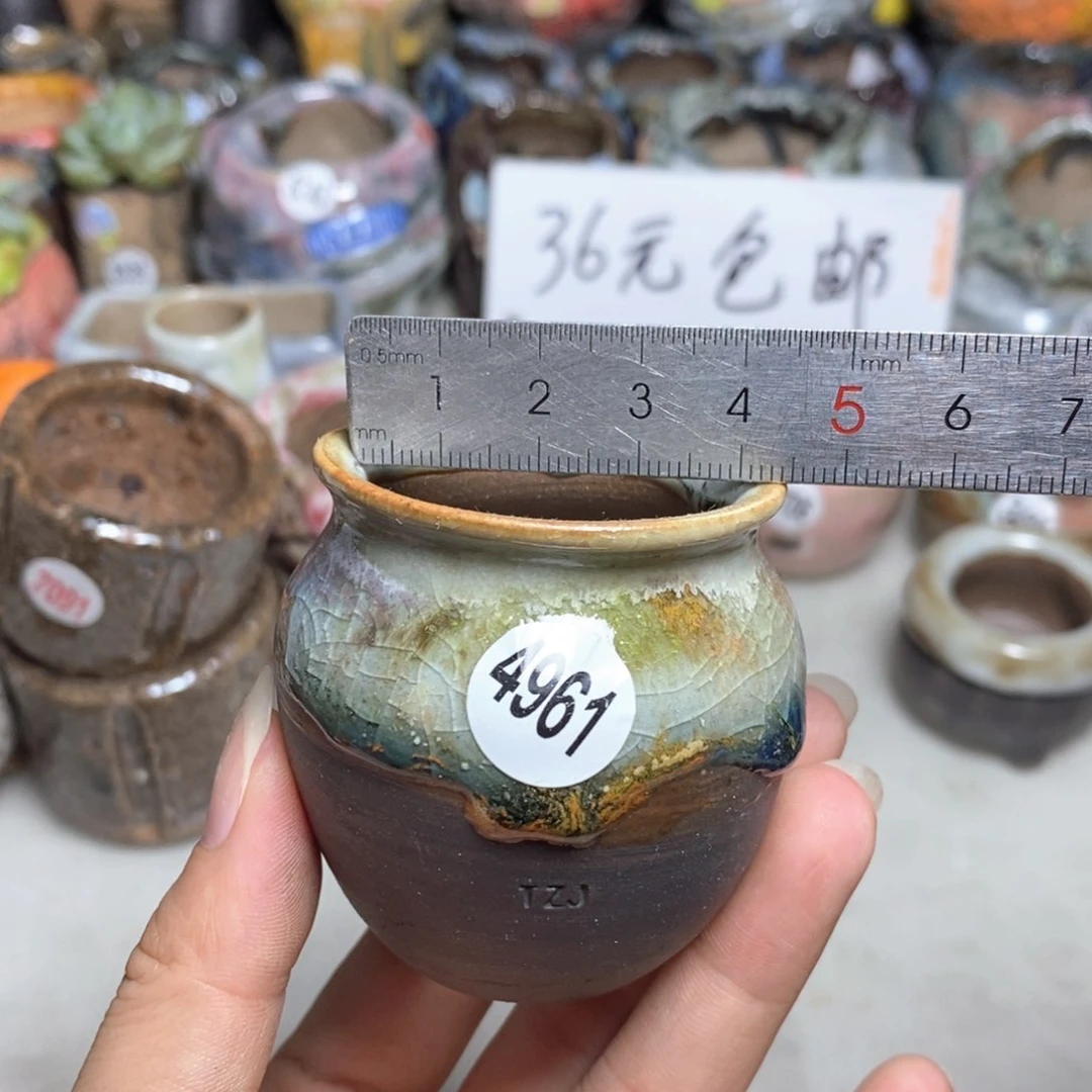 拍5送一个小礼物
