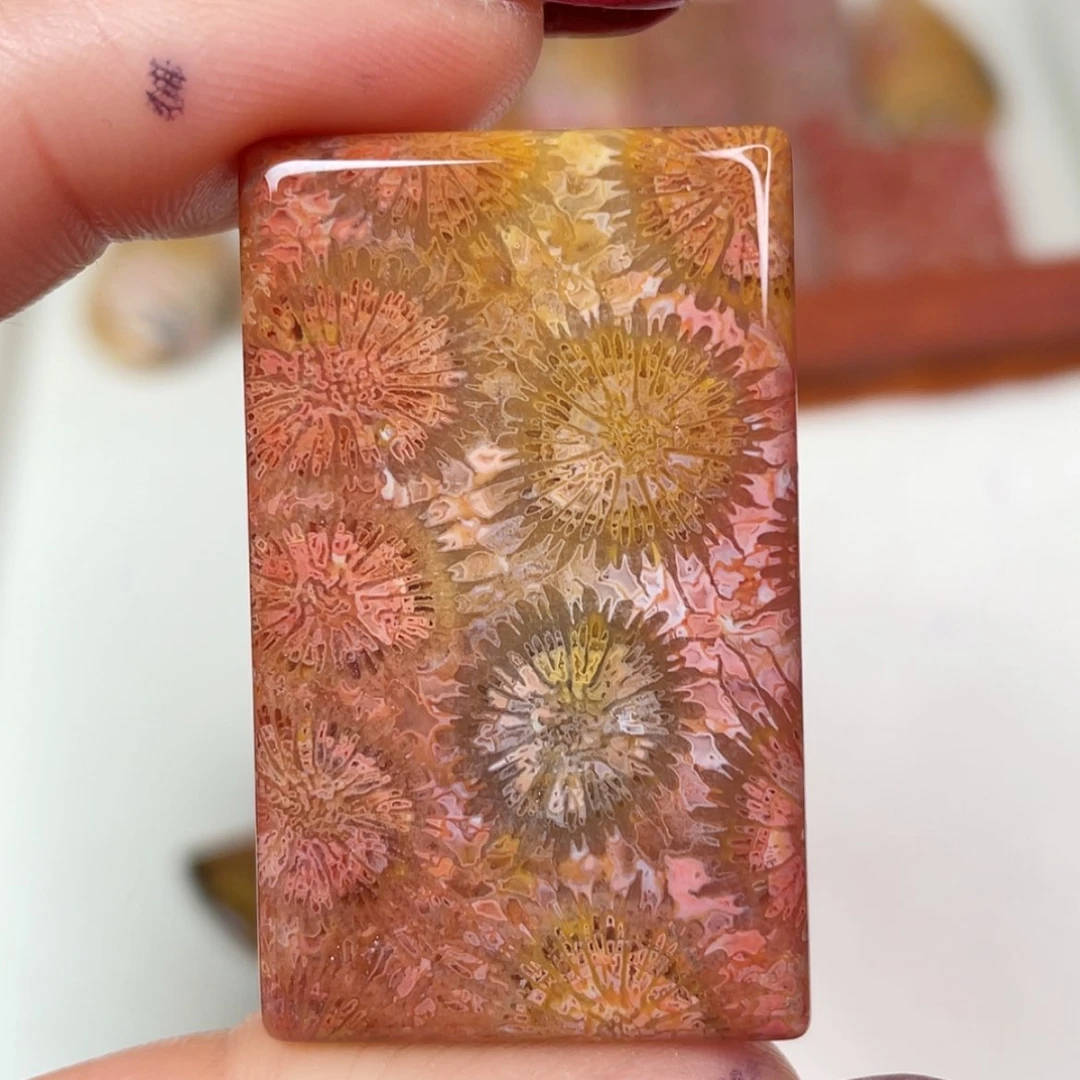 【闪购商品】未镶嵌吊坠(赠链)硅化玉