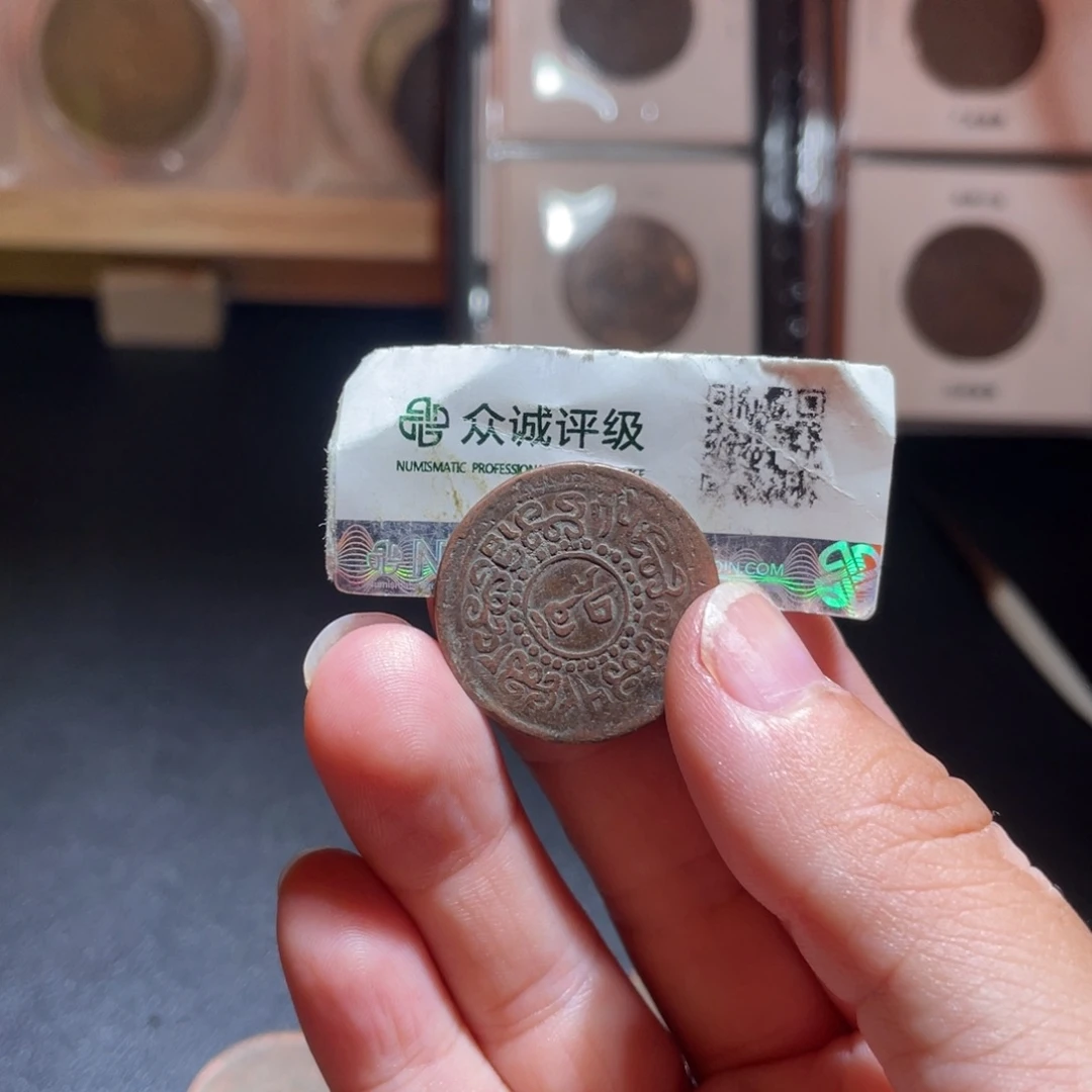 金博古通今肉丸50