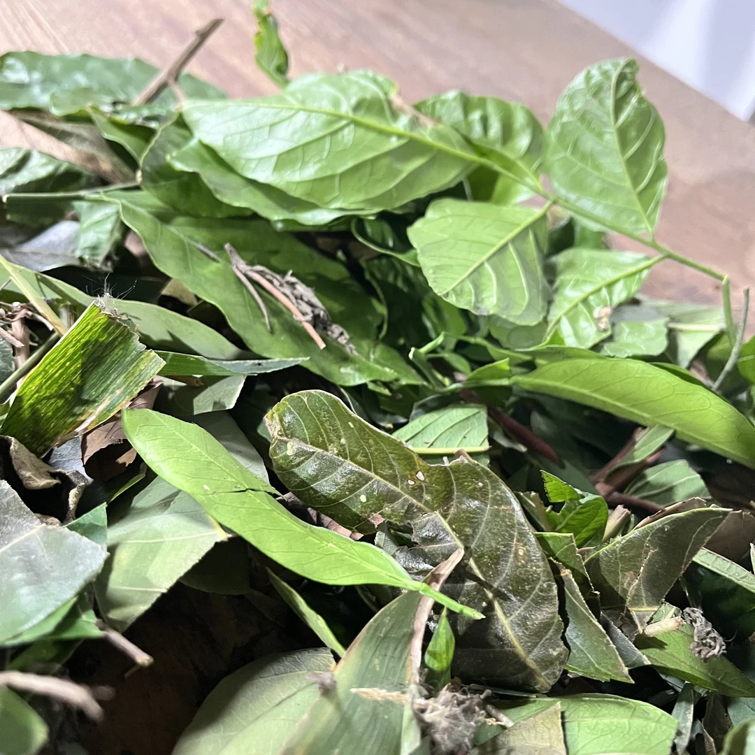 午时水 （农村冲凉用植物：旺竹叶、臭气叶、艾叶、桃叶等等十种植物）