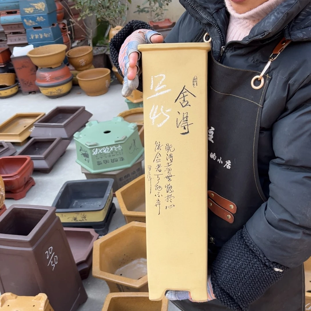 紫砂花盆盆景艺术