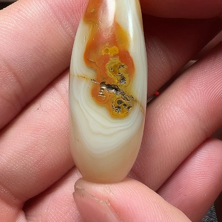 我们都是在这里看到的