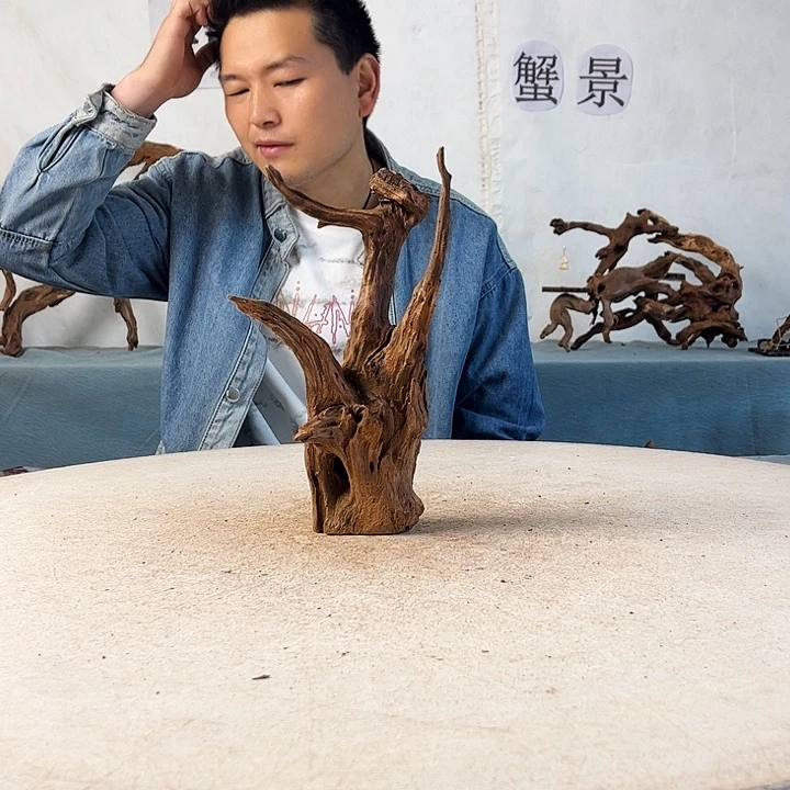 新年快乐沉木造景