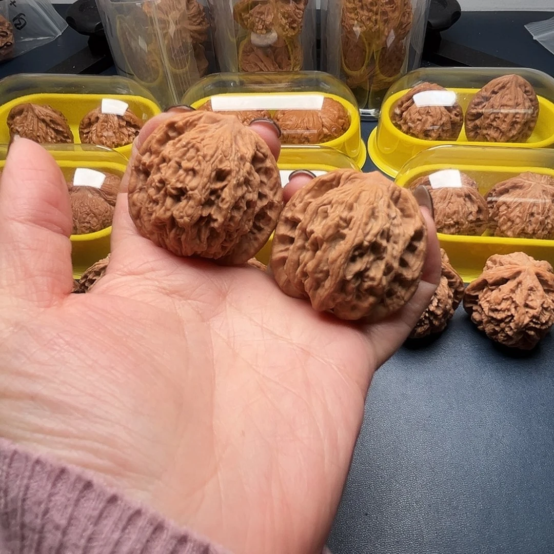 核桃41尺寸麦穗虎头