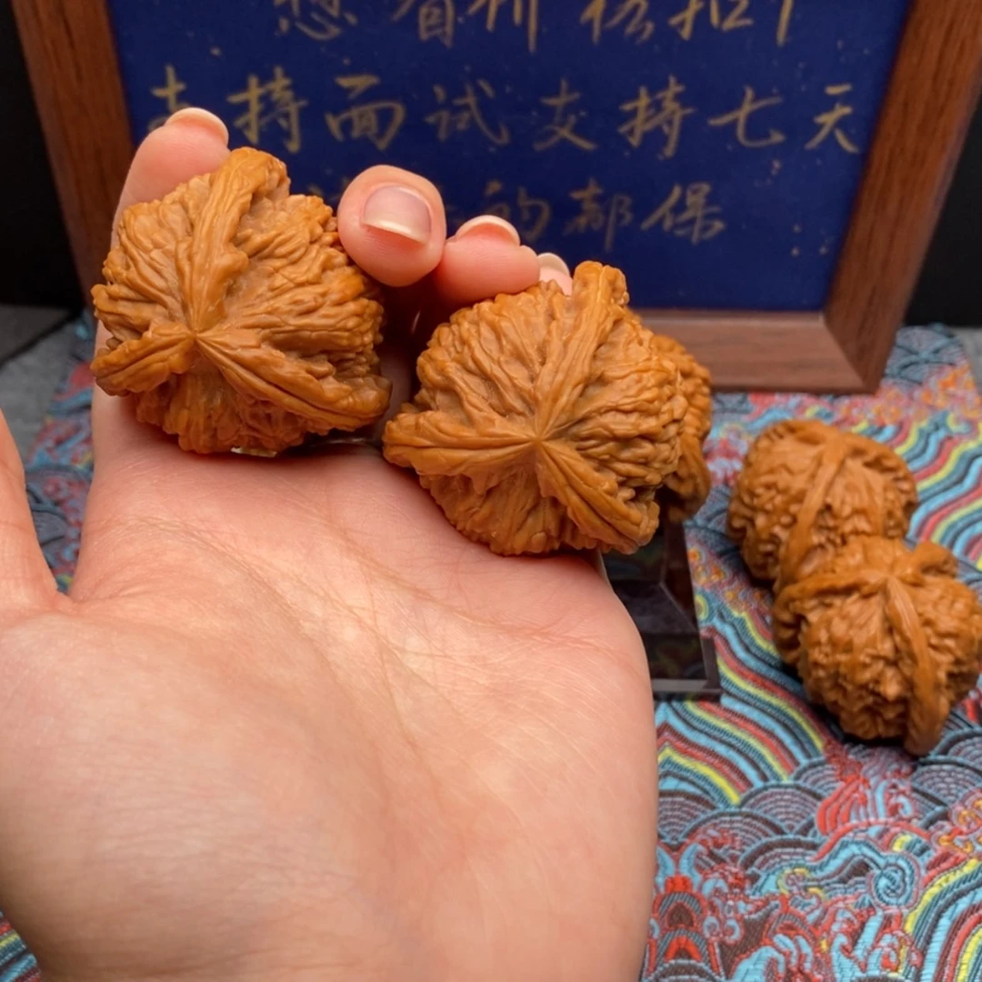 【闪购商品】一*白狮