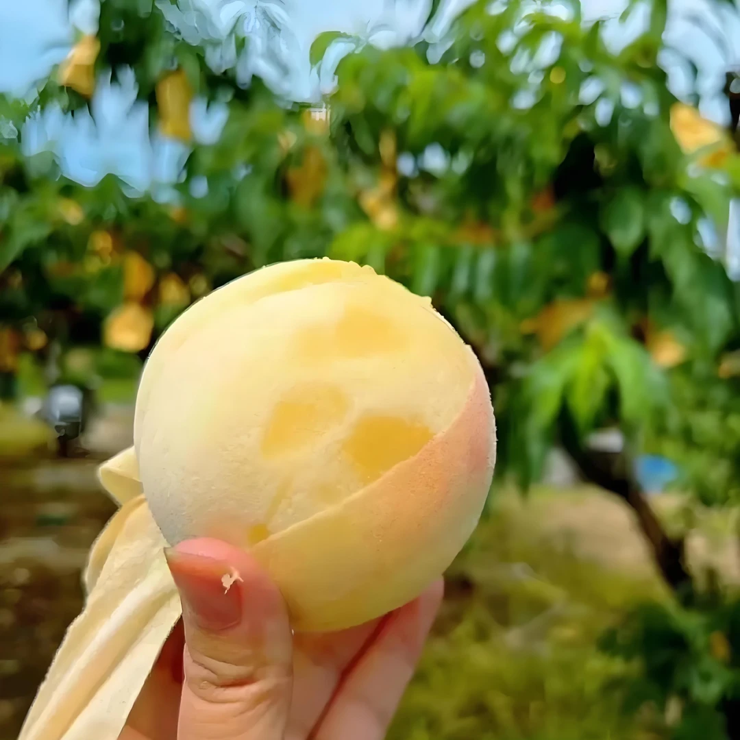 水蜜桃买一盒送一盒