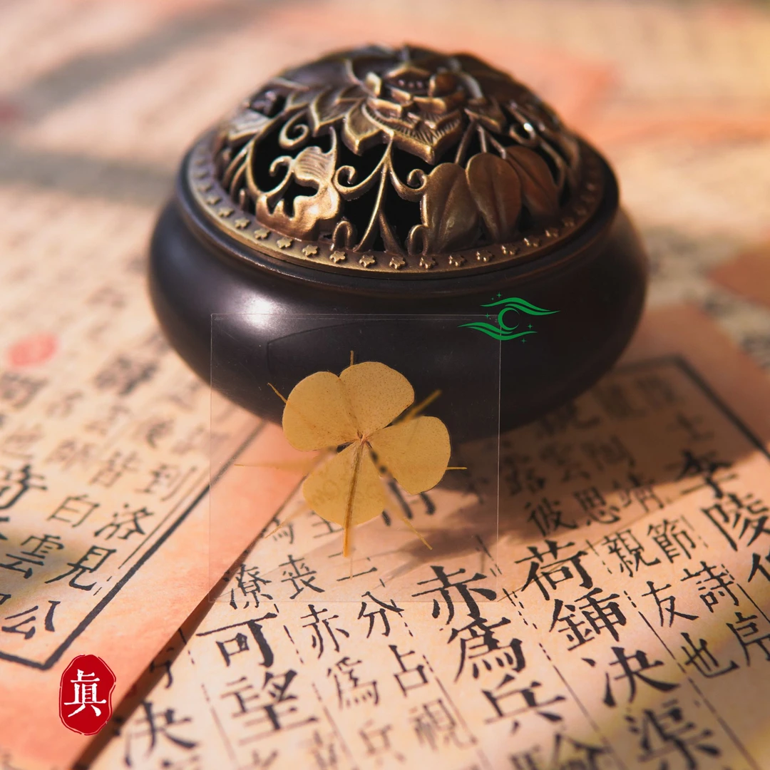 四叶草手机贴纸创意礼品创意贴纸 星