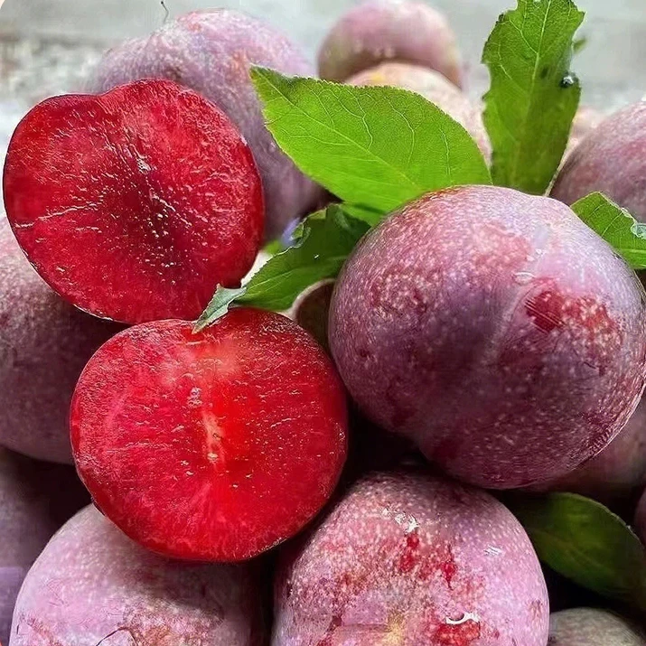 (清园价)广西正宗红心三华李新鲜当季酸甜水果