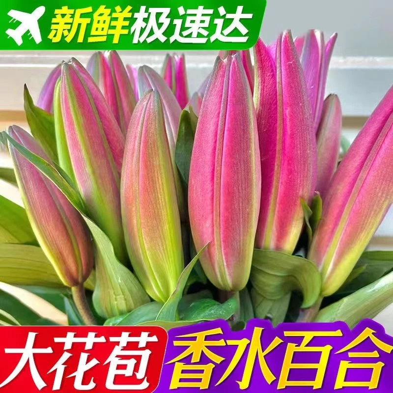 云南基地直发香水百合鲜花束水养真花同城速递云南昆明鲜花花束