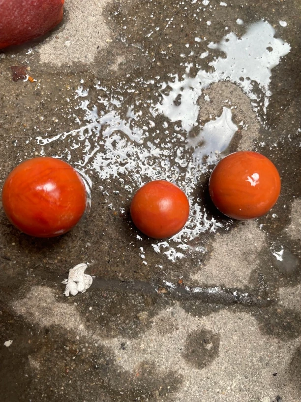 满肉柿子红，四川南红原石