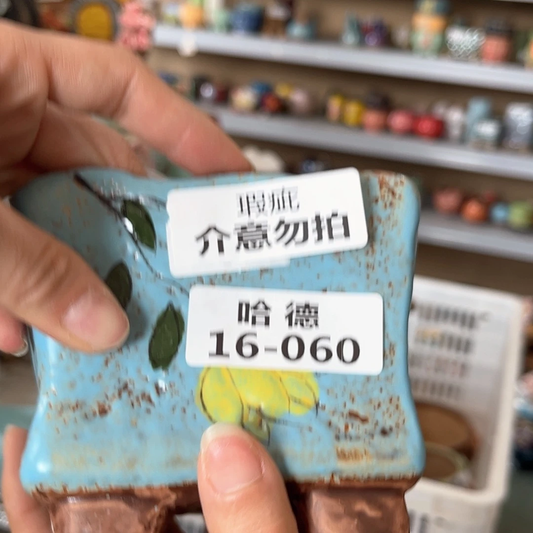 【闪购商品】红陶瑕疵1660