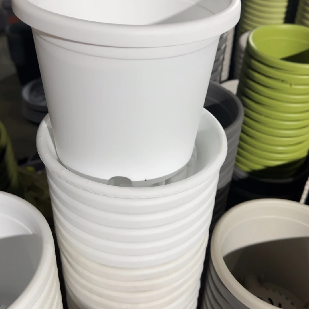 树脂四季2#无拖纯白12个