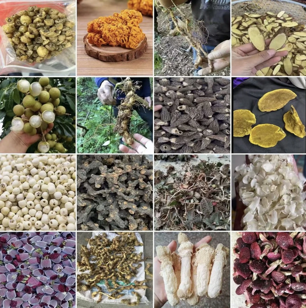 【山货多多】1号代拍链接 所见即所得 菌菇