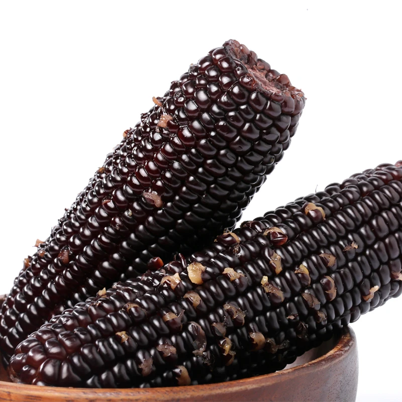 东北正宗新鲜黑糯玉米整箱10支真空独立包装甜黑糯玉米粗粮早餐#