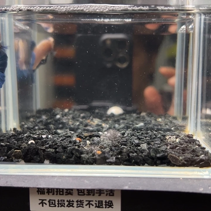 斗鱼竞拍跑单拉黑24日68