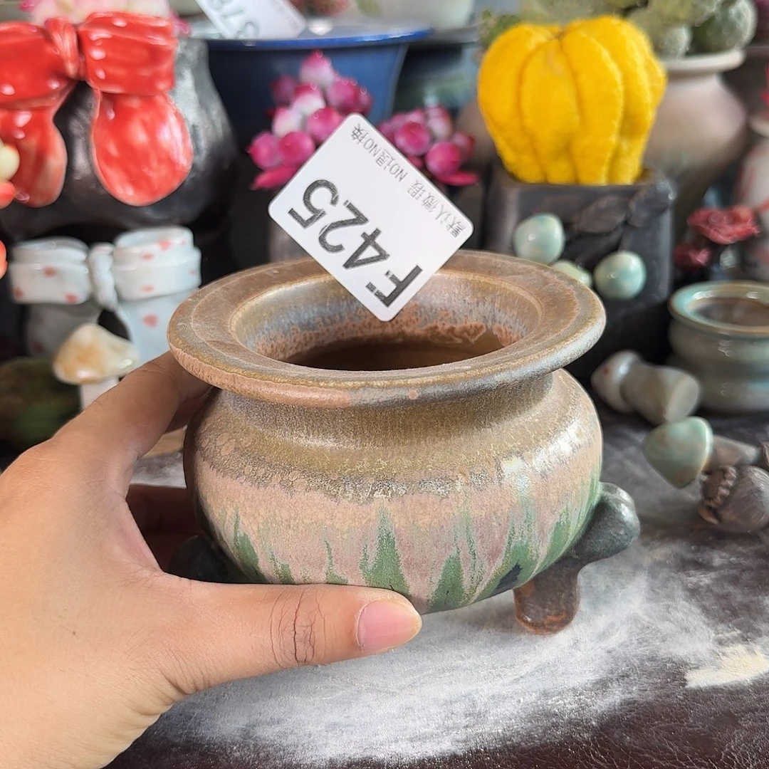 重庆小燕子欢迎大家425