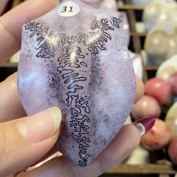 鹿三界好看好看好看