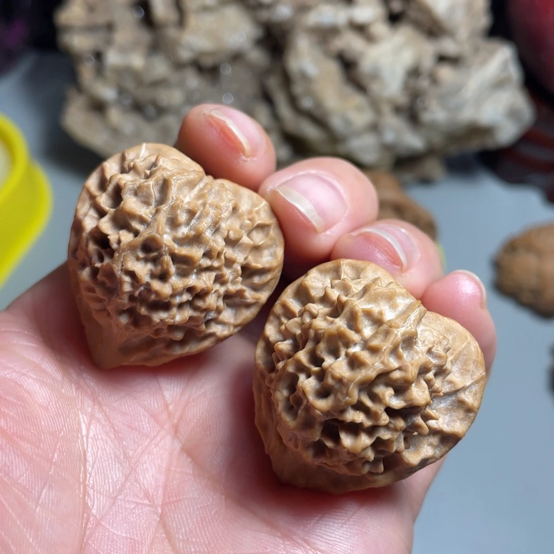 核桃手串/手链精品珊瑚塔32加