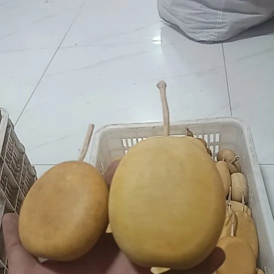 椿***·红红火火恍恍惚惚