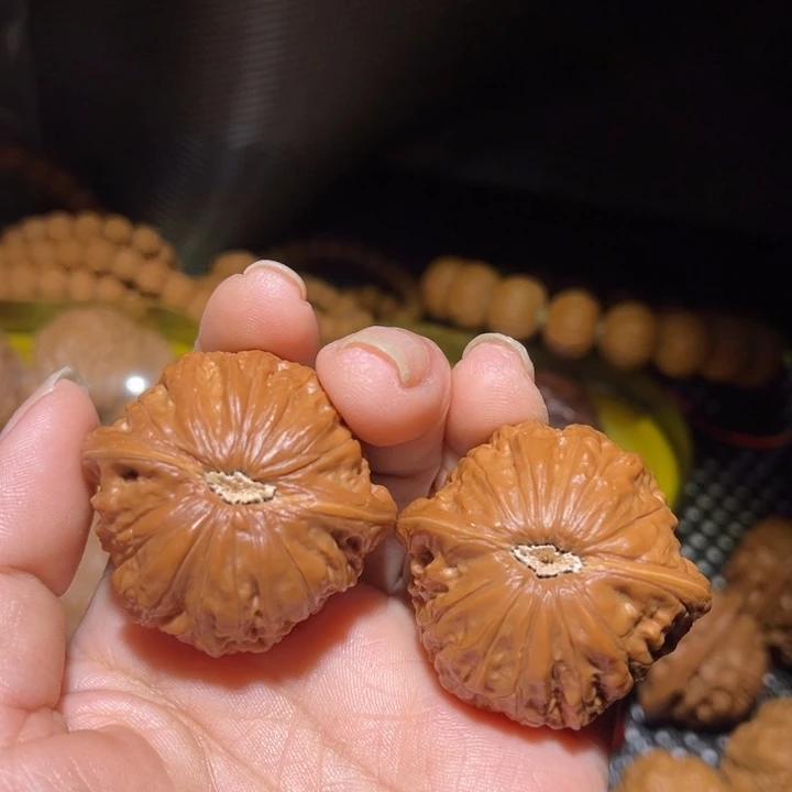 修***嘉大叶紫檀（黑酸枝木类）