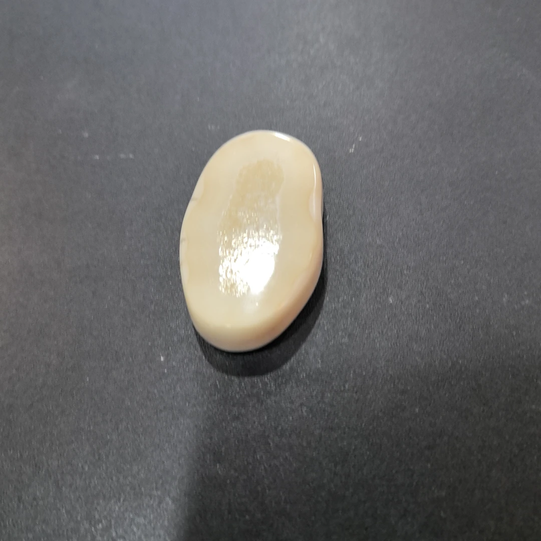 猛犸虬约31.2克饼子配饰TD229