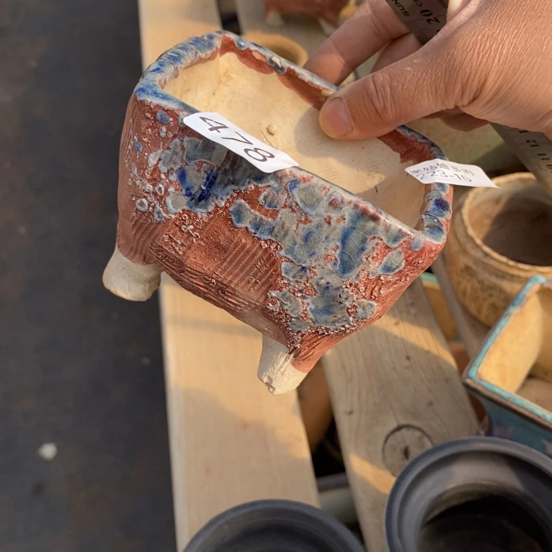 红陶盛*?15号多肉盆一个呀