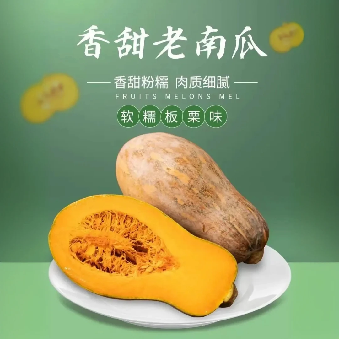 四川老农家自种南瓜当季新鲜粉面甜糯小宝宝辅食整箱蒸煮密本黄瓜