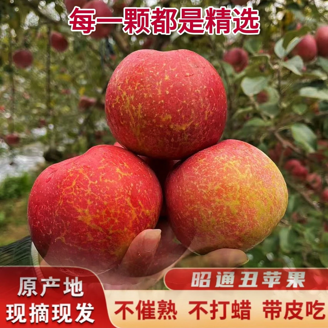 云南昭通冰糖心丑苹果新鲜现摘脆甜多汁肉厚营养好吃