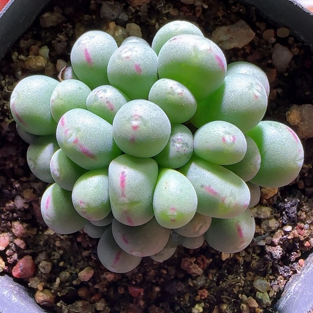 哈哈哈哈哈哈哈哈集521