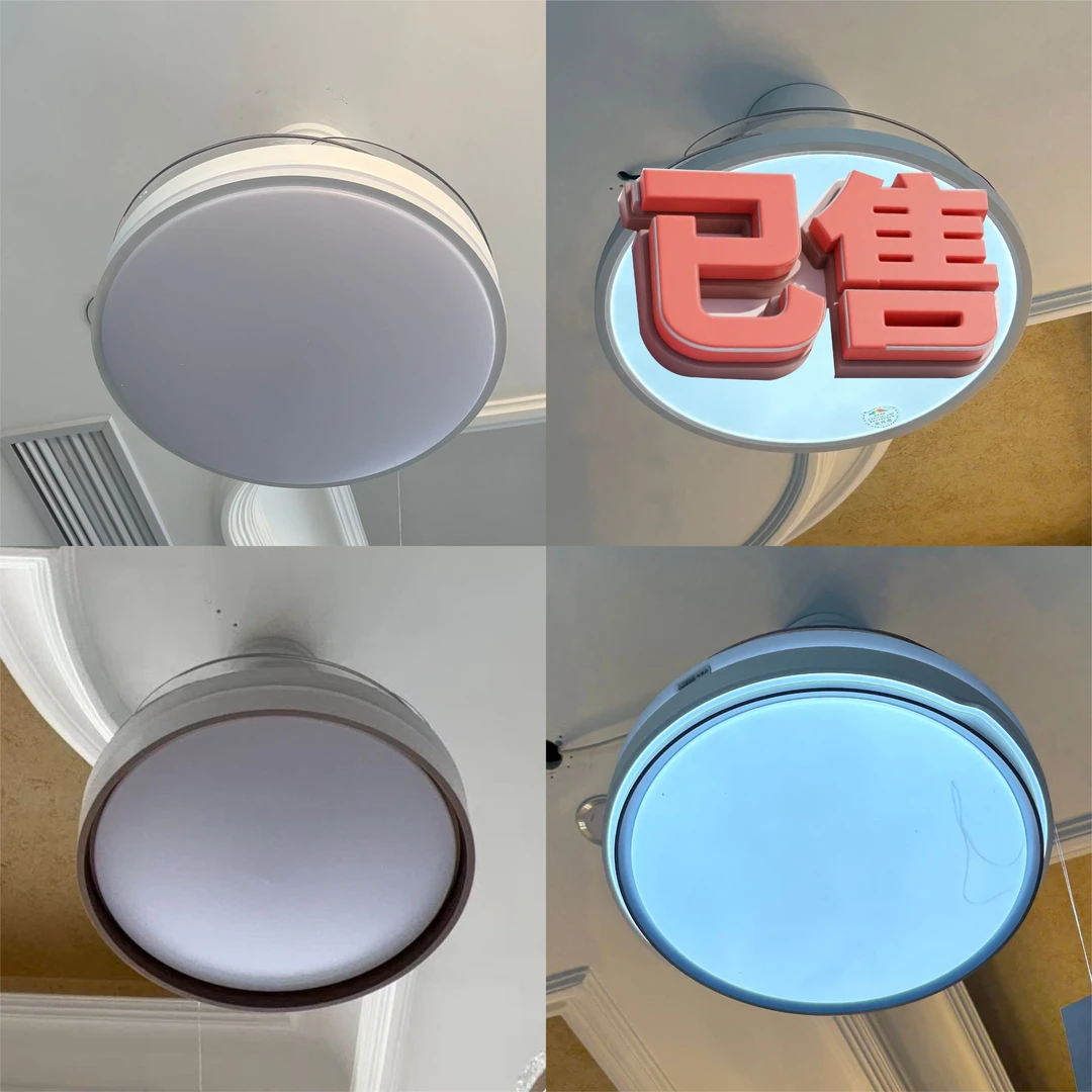 风扇灯客厅、卧室、书房节能吸顶灯喷漆磨砂220V