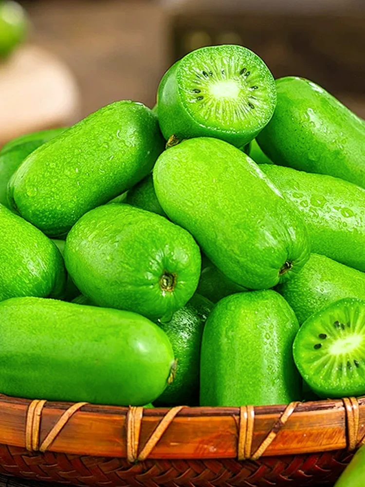 【到手净重2斤】2斤丹东软枣猕猴桃奇异果应季水果包邮