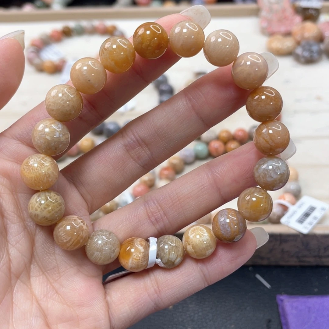 硅化珊瑚（珊瑚玉）手链未镶嵌放****黑698