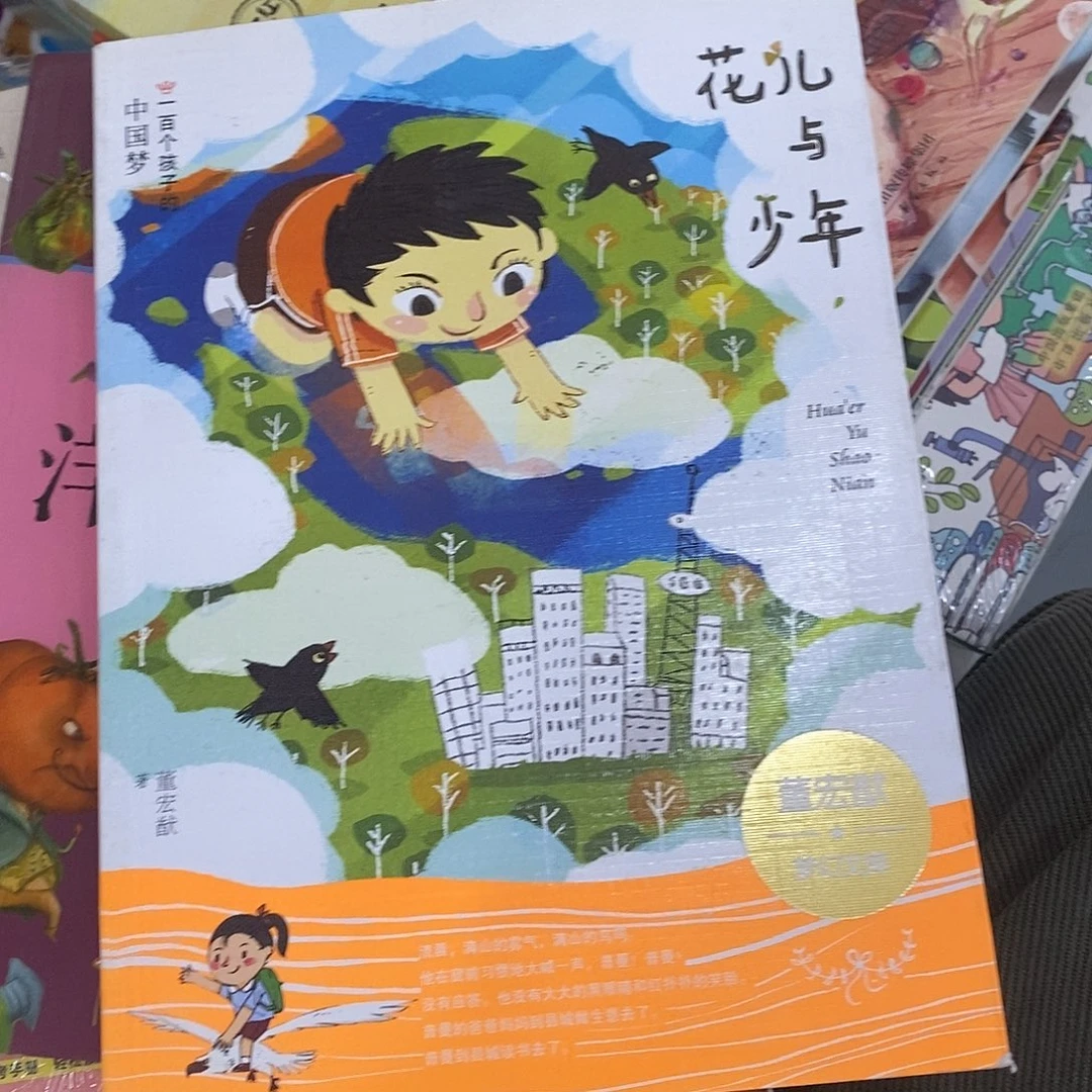 花儿与少年