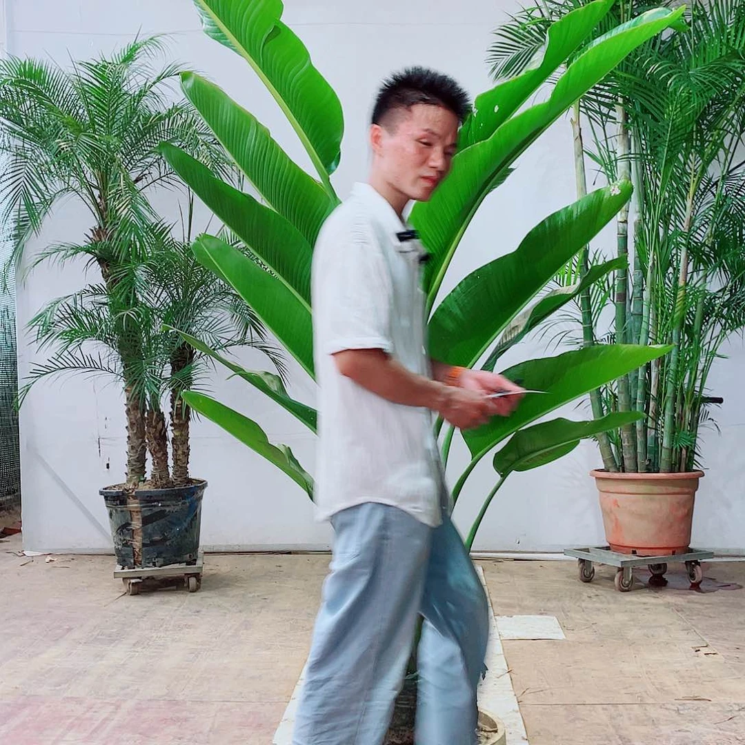 完全开放J***邹2456778889900000